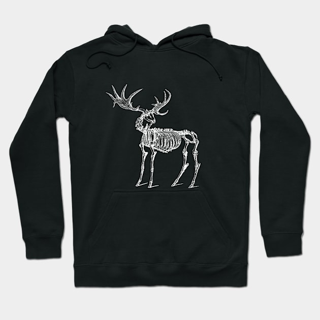 Megaloceros, Ancient Irish Deer Hoodie by cavalaxis